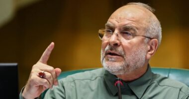 ইরান ঘুমিয়ে ছিল, তোমরা জাগিয়ে তুলেছো-এখন এক ঝড় উঠবে : ইরানের স্পিকার