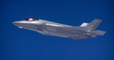 সন্দেহভাজন ইরানি গুলিতে ক্ষতিগ্রস্ত মার্কিন এফ-৩৫ বিমানের জরুরি অবতরণ