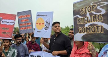 আপনারা পাশে থাকলে জিহাদ অব্যাহত রাখব : হাসনাত আব্দুল্লাহ