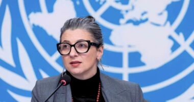 ফিলিস্তিনিদের ওপর পদ্ধতিগতভাবে শারীরিক ও মানসিক নির্যাতন চালাচ্ছে ইসরায়েল : জাতিসংঘ দূত