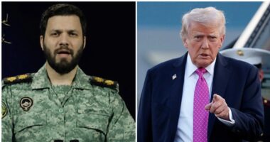 ‘ট্রাম্প, তোমাকে বরখাস্ত করা হলো’