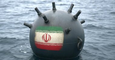 সাগরে মাইন বসানোর হুমকি দিল ইরান, মিত্রদের ‘সমন্বয়’ করার পরামর্শ