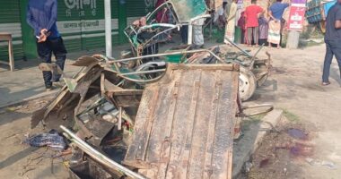 নাটোরের লালপুরে ট্রাকচাপায় ইজিবাইকের ৩ যাত্রী নিহত