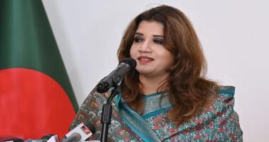 জ্বালানি তেল আমদানিতে গ্রিন সিগন্যাল দিয়েছে ভারত : শামা ওবায়েদ