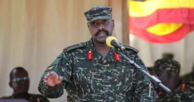 ইসরায়েলের পক্ষ হয়ে ইরানের বিরুদ্ধে লড়াইয়ের কড়া হুঁশিয়ারি উগান্ডা সেনাপ্রধানের