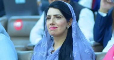 পাকিস্তানে পিটিআই নেতা পাঞ্জাবের প্রধান সংগঠক আলিয়া হামজা মালিক গ্রেফতার