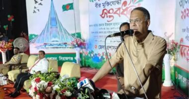 শপথ নেওয়ার পর থেকে আমি ঘুমাতে পারি না : জ্বালানিমন্ত্রী