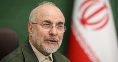 এক রাতে ৮৭ অভিযান হিজবুল্লাহর, প্রশংসায় ইরান