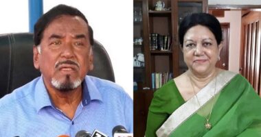 জাতীয় সংসদের স্পিকার হাফিজ উদ্দিনের সহধর্মিণী দিলারা হাফিজ আর নেই