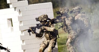 মাটিতে নামলে মার্কিন সেনাদের পাখির মতো গুলি করবে ইরান