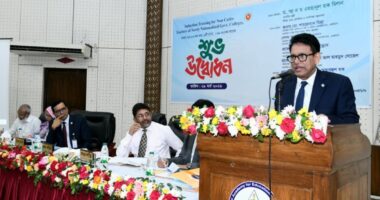 “শিক্ষকরা জাতির প্র্যাকটিক্যাল ডক্টর, যারা দেশের ভবিষ্যৎ প্রজন্মকে গড়ে তোলেন” : শিক্ষামন্ত্রী