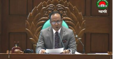 এমন সংসদ বিশ্বের বুকে বিরল : ডেপুটি স্পিকার