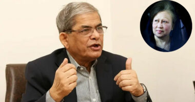 ‘দেশনেত্রীর স্নেহের ছায়া আমার জীবনের সবচেয়ে বড় প্রাপ্তি’ : মির্জা ফখরুল