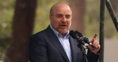 মার্কিন সেনারা ইরানে পা রাখামাত্রই তাদের ‘পুড়িয়ে মারা হবে’ : বাঘের গালিবাফ