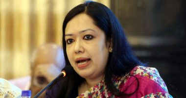 সংরক্ষিত নারী আসনের নির্বাচনে কোনো জোটে নেই রুমিন ফারহানা