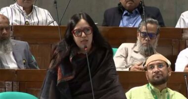 সংসদে স্বরাষ্ট্রমন্ত্রীর প্রশংসা করলেন রুমিন ফারহানা