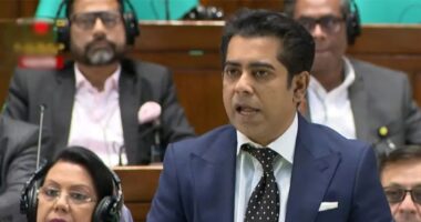 আপনারা জেন-জি রিপ্রেজেন্ট করেন, জামায়াত জেনারেশন হয়েন না : সংসদে পার্থ