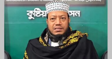 হাইকোর্টে আগাম জামিন চাইলেন মুফতি আমির হামজা