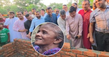 শাহবাগের ফুটপাত থেকে স্থায়ী ঠিকানায়—গোলাপির জন্য নতুন বাড়ি