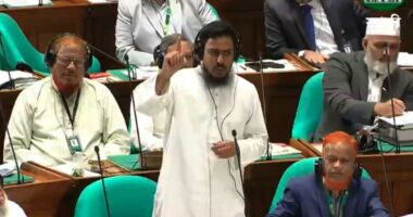 গণভোটকে অবৈধ করার কোনো সুযোগ নেই : আখতার হোসেন