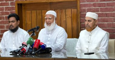 সংবিধানের অনেক কিছু ছাড়াই আমরা এ পর্যন্ত এসেছি : শফিকুর রহমান