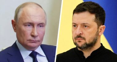 জেলেনস্কির যুদ্ধবিরতি প্রস্তাব প্রত্যাখ্যান করল রাশিয়া