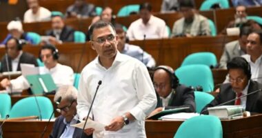 আওয়ামী লীগ সরকারের আমলে ২৩৪ বিলিয়ন ডলার বিদেশে পাচার হয়েছে : সংসদে প্রধানমন্ত্রী