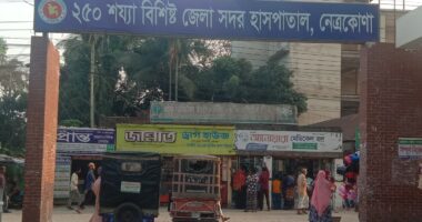 নেত্রকোনায় ১৩জন শিশু হামে আক্রান্ত