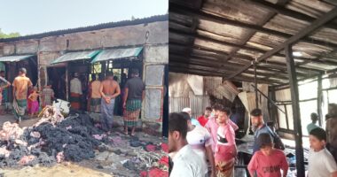 ভোলার মনপুরায় জনতা বাজারে ভয়াবহ অগ্নিকাণ্ড