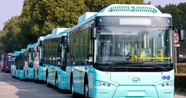 জ্বালানি দাম দ্বিগুণ: পাকিস্তানের রাজধানীতে সব গণপরিবহনের ভাড়া ফ্রি ঘোষণা