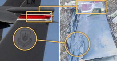 ভূপাতিত করা মার্কিন যুদ্ধবিমানের ছবি প্রকাশ করল ইরান