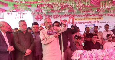 ‘একমাত্র শেখ মুজিবুরের নেতৃত্বেই এদেশে মুক্তিযুদ্ধ হয়নি’ : মির্জা ফখরুল