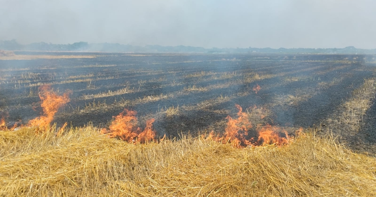 গাংনীতে আবারও খড়ের আগুন, চোখতোলা মাঠে ২০ বিঘা ফসল ভষ্মিভুত