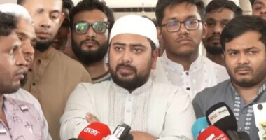 রাজনৈতিক ঐক্য ছাড়া সরকারের টিকে থাকা কঠিন হবে : নাহিদ ইসলাম