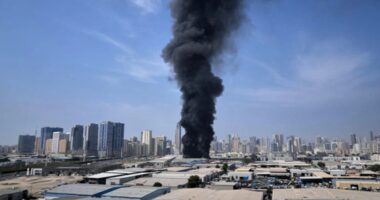 কুয়েতে ড্রোন হামলায় তেল শিল্প কমপ্লেক্সে আগুন