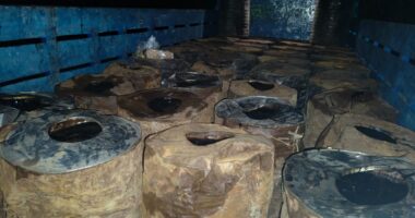 জিয়ানগরে ৫৮ ব্যারেল চোরাই বিটুমিন উদ্ধার