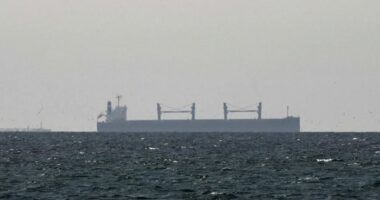 ইরাকি জাহাজকে হরমুজ প্রণালী দিয়ে চলাচলের অনুমতি দিলো ইরান