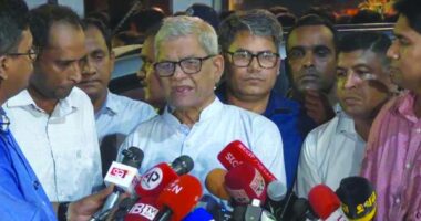 খুব দ্রুতই আমরা চেষ্টা করব দলকে কাউন্সিলের দিকে যাওয়ার জন্য : মির্জা ফখরুল