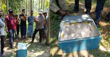 লালমোহনে মন্দিরের দান বাক্সের লক্ষাধিক টাকা চুরির অভিযোগ