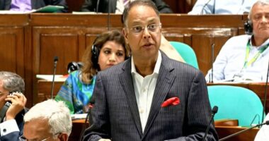 বর্তমানে বাংলাদেশই একমাত্র দেশ, যেখানে তেলের দাম অপরিবর্তিত: জ্বালানিমন্ত্রী