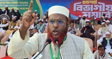 সংকট বিএনপি তৈরি করেছে, সমাধানও তাদের করতে হবে : মিয়া গোলাম পরওয়ার