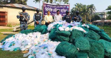হাতিয়াতে ৪০ লাখ টাকার অবৈধ জাল ও পলিথিন জব্দ