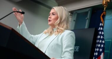 আর মাত্র কয়েক ঘণ্টা, ট্রাম্প কী করবেন কেবল তিনিই জানেন: হোয়াইট হাউজ