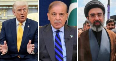 যুক্তরাষ্ট্র-ইরানকে পাকিস্তানে আসার নিমন্ত্রণ দিলেন শেহবাজ