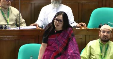 রাষ্ট্রপতি নিজের মতো ভাষণ দিতে পারেননি, ক্ষমতার ভারসাম্য কোথায় : প্রশ্ন রুমিন ফারহানার