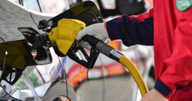 যুদ্ধবিরতির পর তেলের দাম কমেছে অন্তত ১৫ শতাংশ