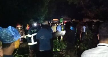 শাহজাদপুর প্রচন্ড ঝড়ে মহাসড়কে উপড়ে পড়লো বটগাছ, তিন কিলোমিটার যানযটের সৃষ্টি