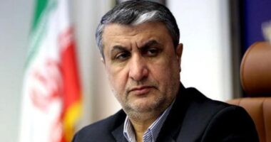 নতি স্বীকার নয়, পরমাণু কর্মসূচি কোনোভাবেই বন্ধ হবে না : মোহাম্মদ এসলামি সাফ