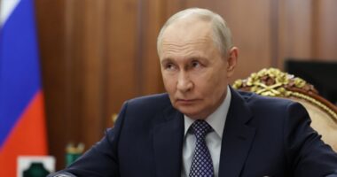 যুদ্ধবিরতি ঘোষণা করল রাশিয়া