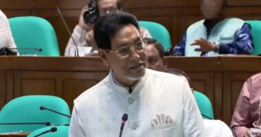 সাগর থেকে দুটি তিমি নিয়ে এসেছি, আরও দুটি হাঙর আসছে : চিফ হুইপ